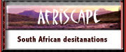 afriscape.gif (10879 bytes)